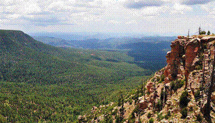 image Il caso di Travis Walton  1975 in Arizona